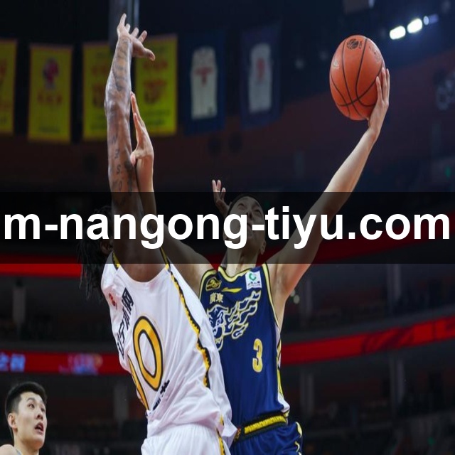 解读南宫体育公司