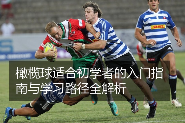 橄榄球适合初学者的入门指南与学习路径全解析